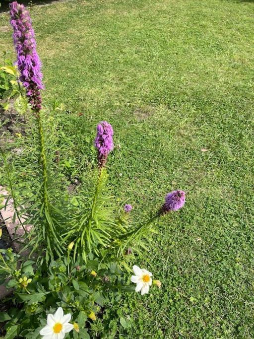 Baarland Zonneschijn, Bungalow Op Vakantiepark Bij Zeeヴィラ エクステリア 写真