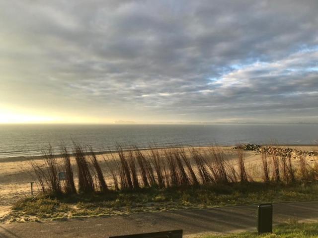 Baarland Zonneschijn, Bungalow Op Vakantiepark Bij Zeeヴィラ エクステリア 写真